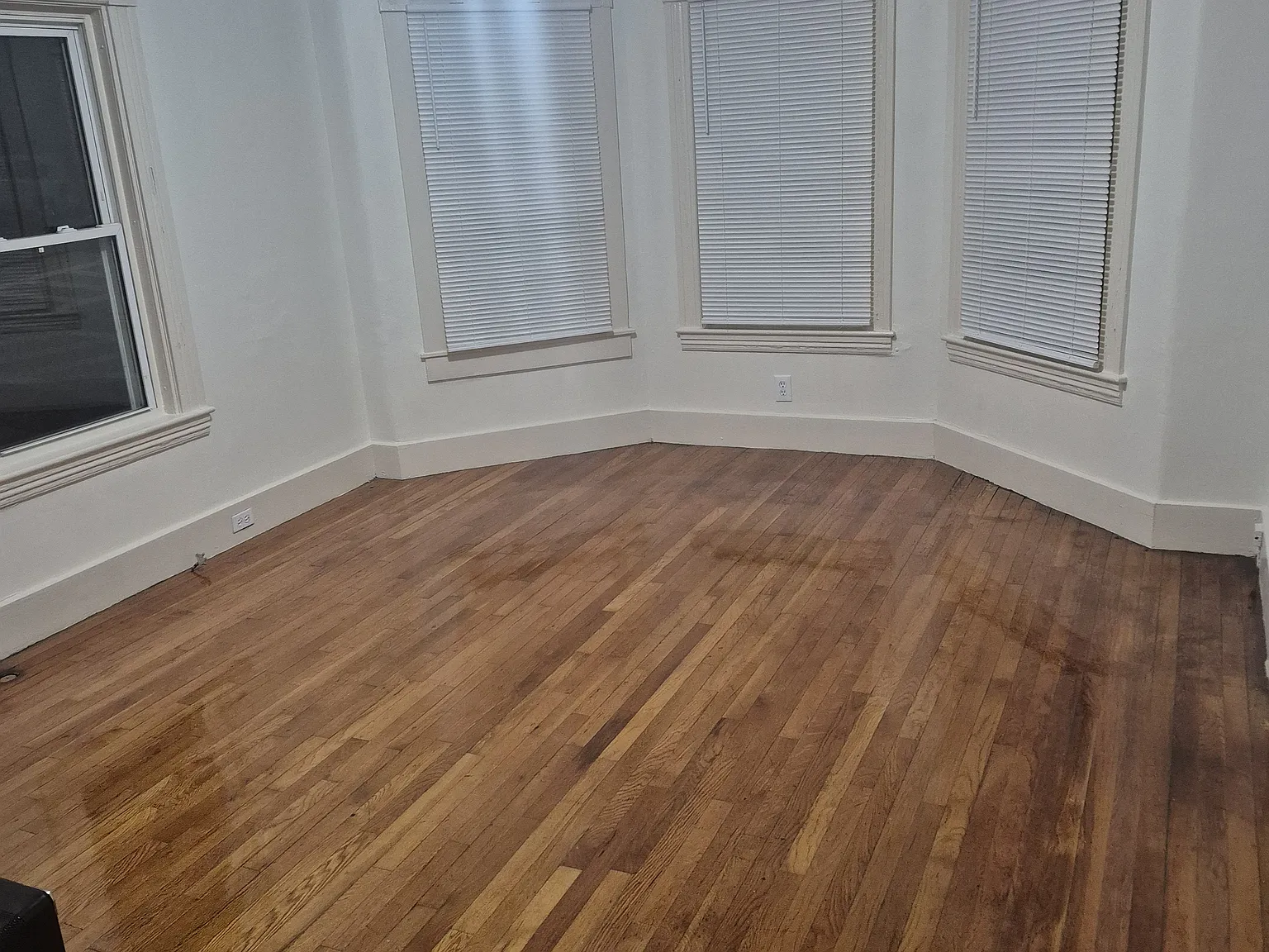 2 bed, 800 sqft, $1,900 — Photo 2
