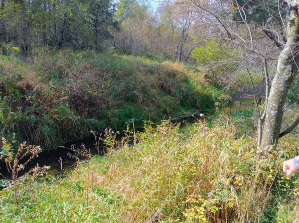 3571 E Decker Rd, Custer, MI 49405