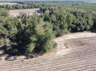 Xxx1 Sylvania Plantation Rd, Greenwood, FL 32443