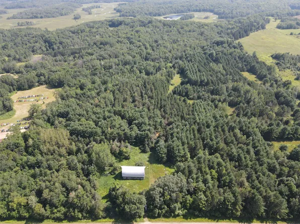 4296 Chrivia Rd, Lupton, MI 48635