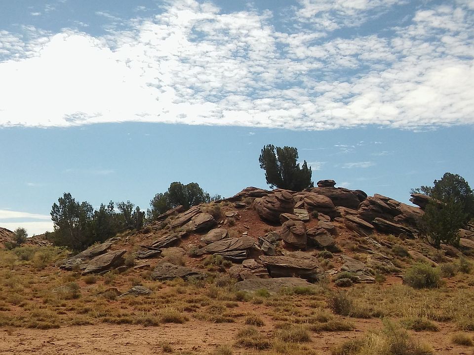 1st image of 628 Hwy 180 Concho Arizona