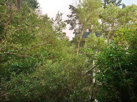4th image of 2323 Shelter Creek Ln
