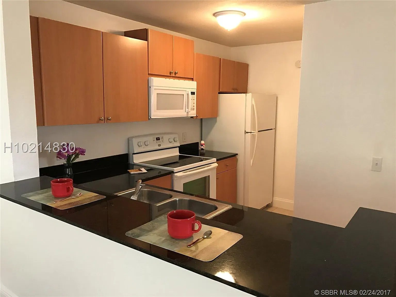 1780 Palm Cove Blvd — Photo 3