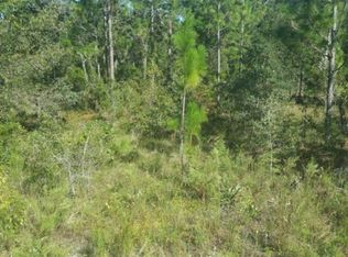 14044 Cormorant Rd, Weeki Wachee, FL 34614