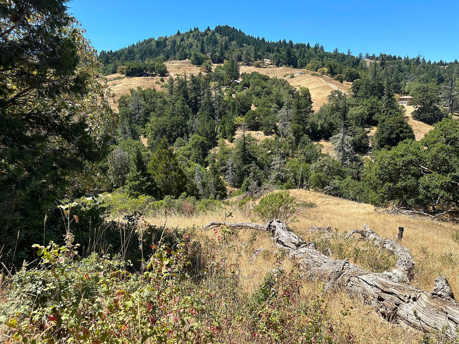 No Address Lower Thomas Rd, Miranda, CA 95553 MLS 264954 Zillow