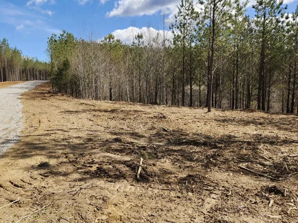 231 Pioneer Dr Lot 262, Linden, TN 37096