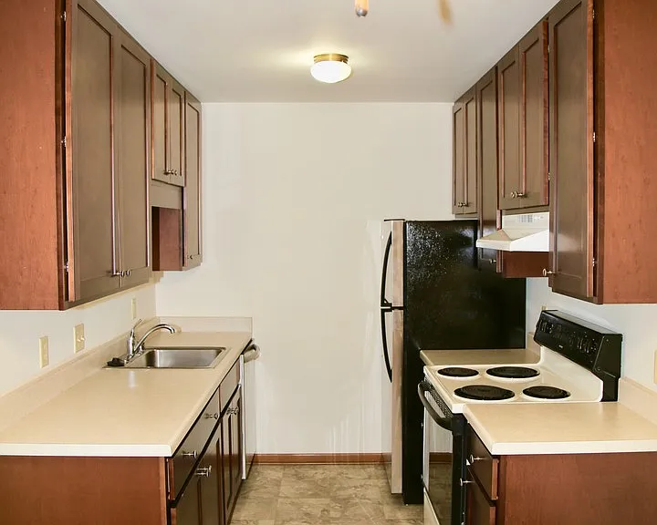 1153 Vogt Dr — Photo 4