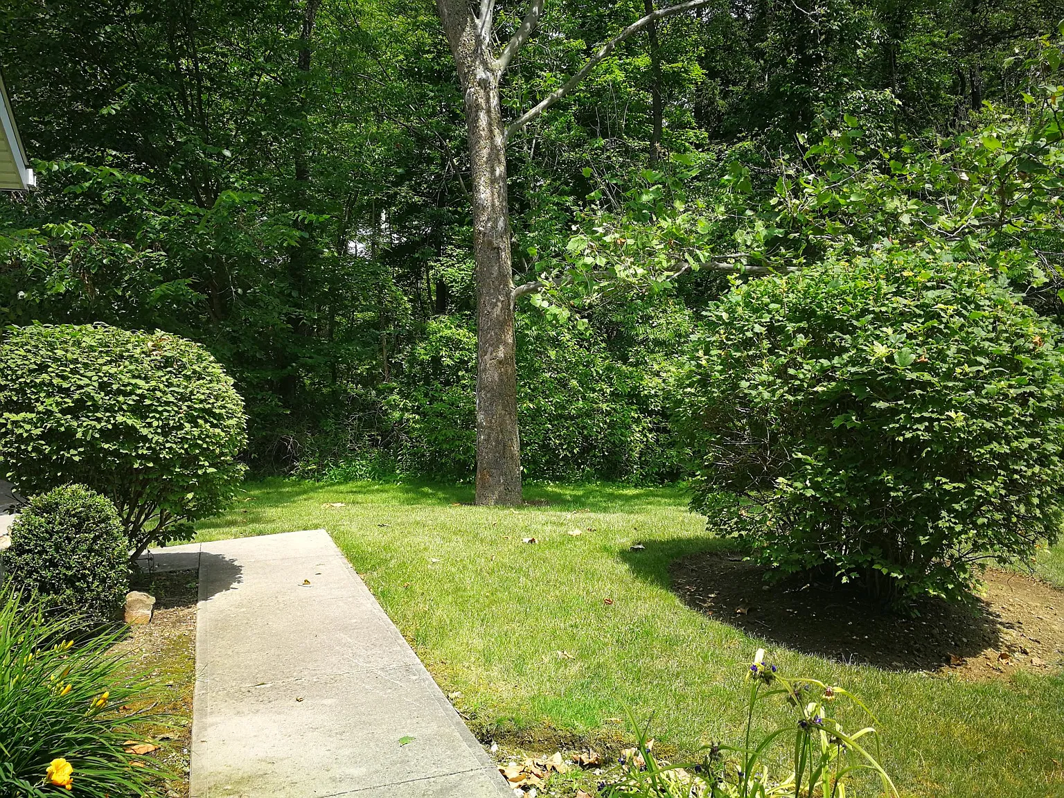 2 bed, 1.5 bath, 1472 sqft, $1,995 — Photo 4