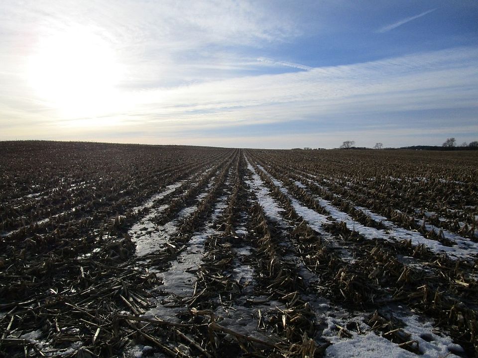 2nd image of Hollenbeck Rd
