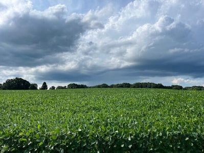 0 Gramer Rd, Webberville, MI, 48892