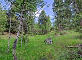 28551 Bold Ln, Evergreen, CO 80439