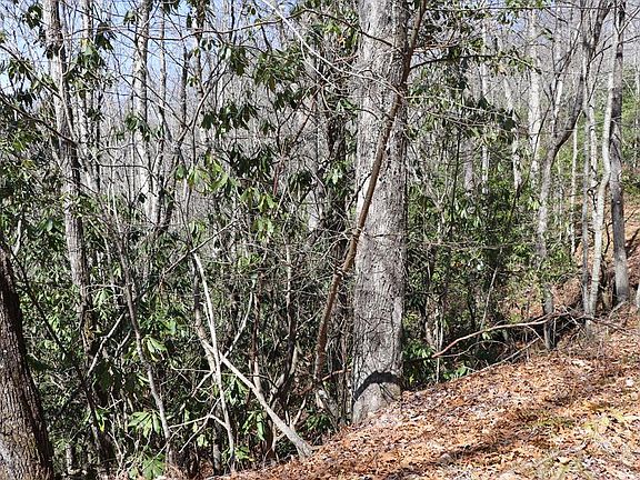 2nd image of TBD Brandonwood Drive LOT 1458