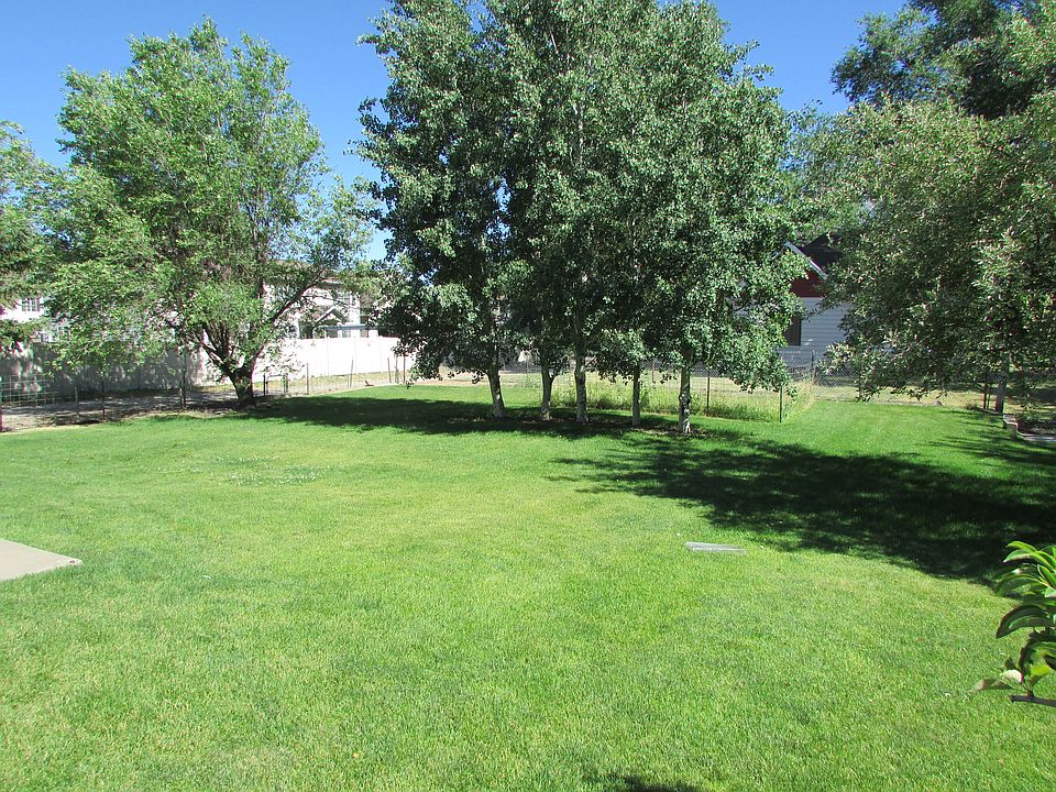 Backyard another angle