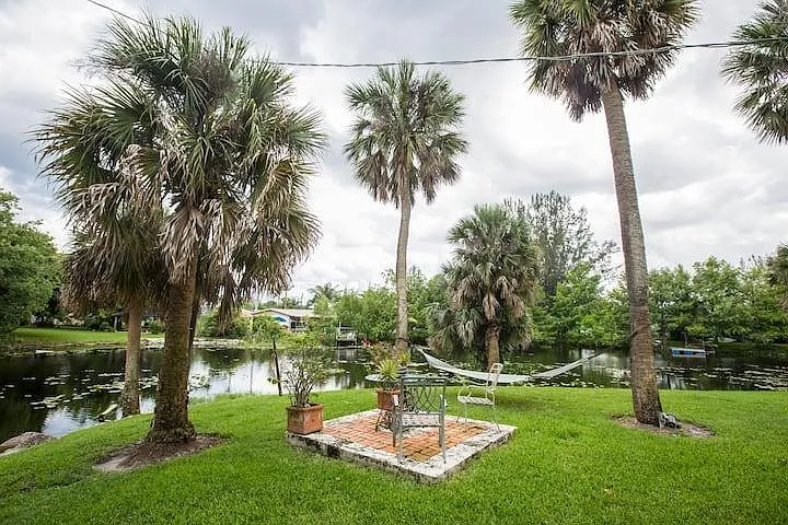 Relax and unwind in this hammock with exotic birds