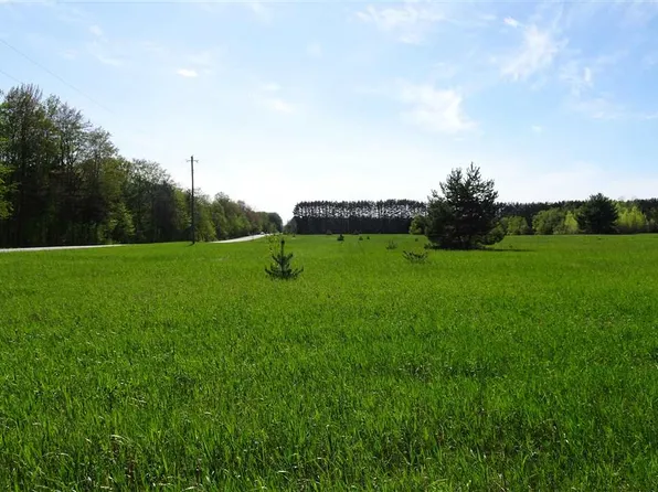 Twin Lake Rd NE, Kalkaska, MI 49646