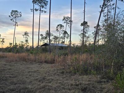 9641 County Road 386 N, Wewahitchka, FL, 32465