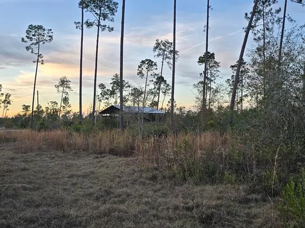 9641 County Road 386 N, Wewahitchka, FL 32465