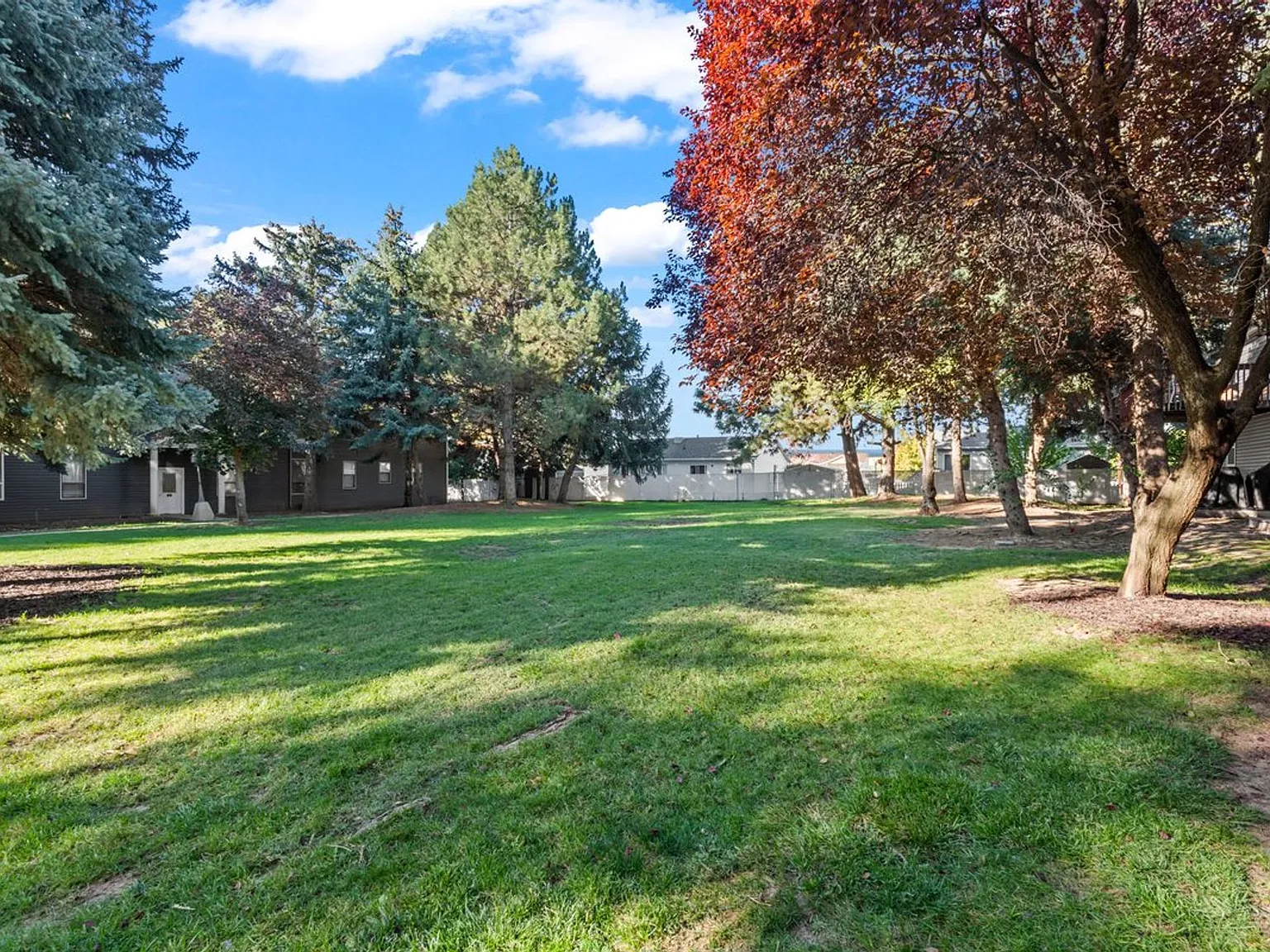 Shady Lane Apartments — Photo 4