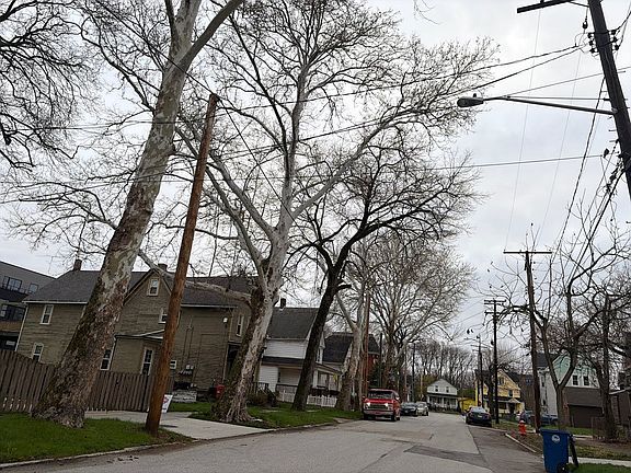 5th image of 1820 Brevier Ave