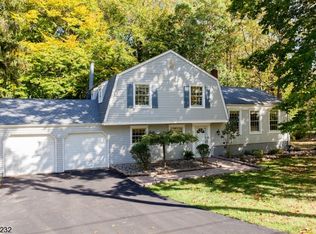 1140 Concord Dr, Bridgewater, NJ