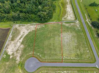 Lot 20 NW 101ST WAY, ALACHUA, FL 32615