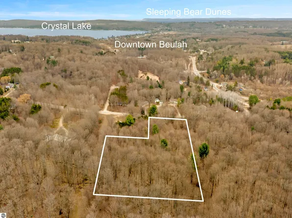 0 River St, Benzonia, MI 49616