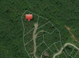 3 Pierce Ct, Mill Spring, NC 28756