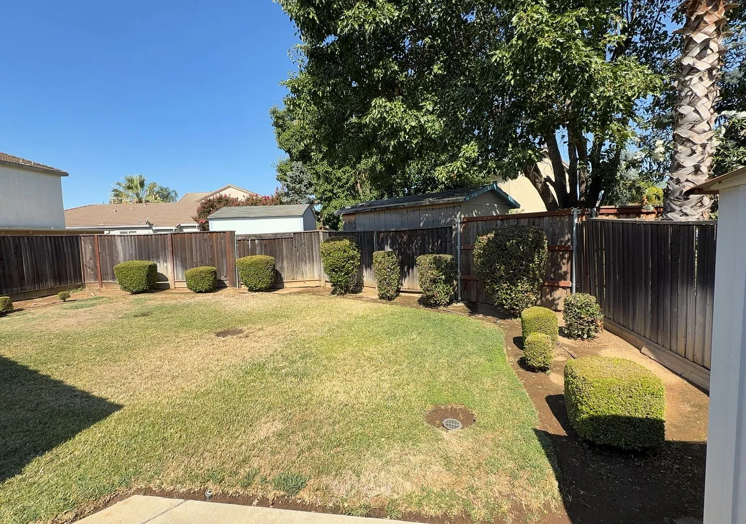 9748 Cervelli Way — Photo 2