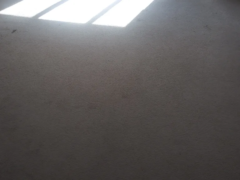 19 Sunset Ave — Photo 7