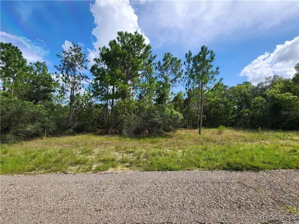 3504 W Seahorse Ln, Citrus Springs, FL 34433