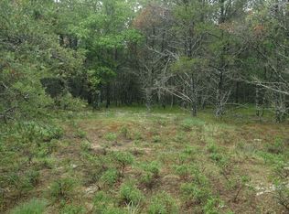 1533 Shaw Park Rd, Grayling, MI 49738