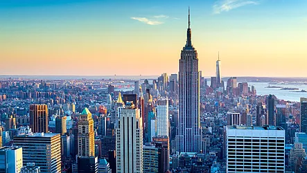 Rented by Bold New York