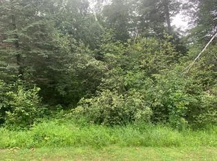 Lakeview Blvd, Saint helen, MI 48656