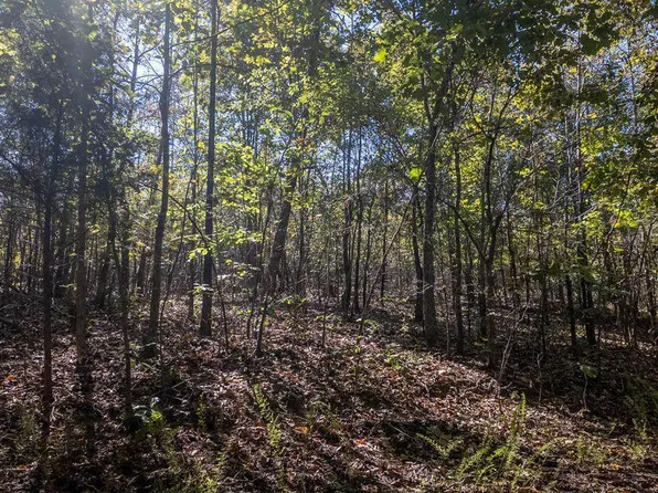 000 Wetumka Drive, Cherokee Village, AR 72529