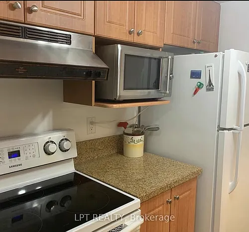 717 Bay St #306 Photo 1