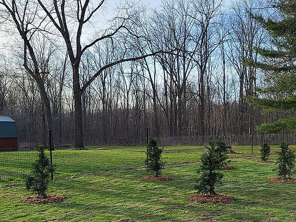 Front yard. View from road