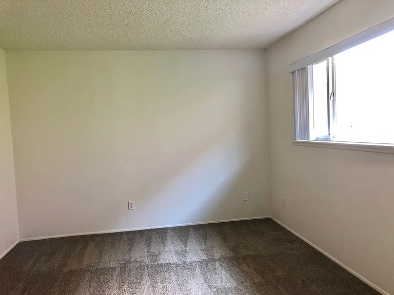 Pamela Terrace — Photo 7