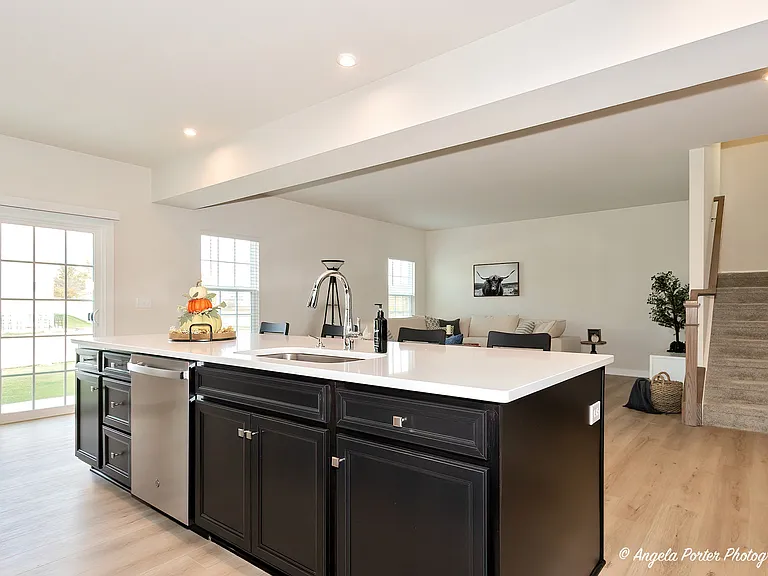 Modern Kitchen Elegance