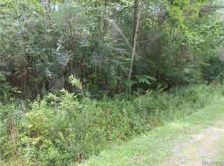 0 County Road 49 #58, Caneadea, NY 14717