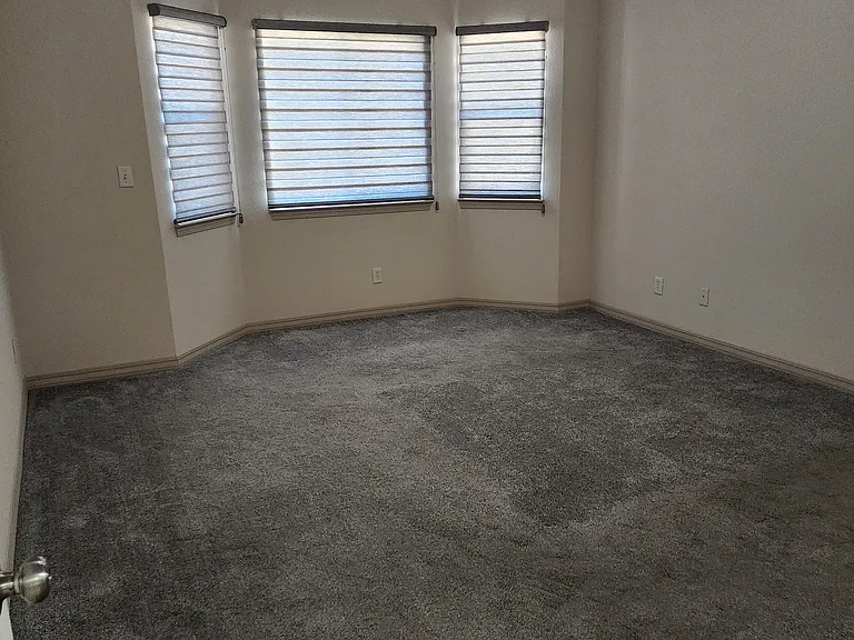 1517 Alovera Ln — Photo 15