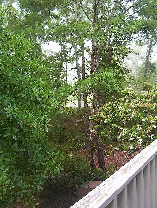 800 Mallery Street — Photo 4
