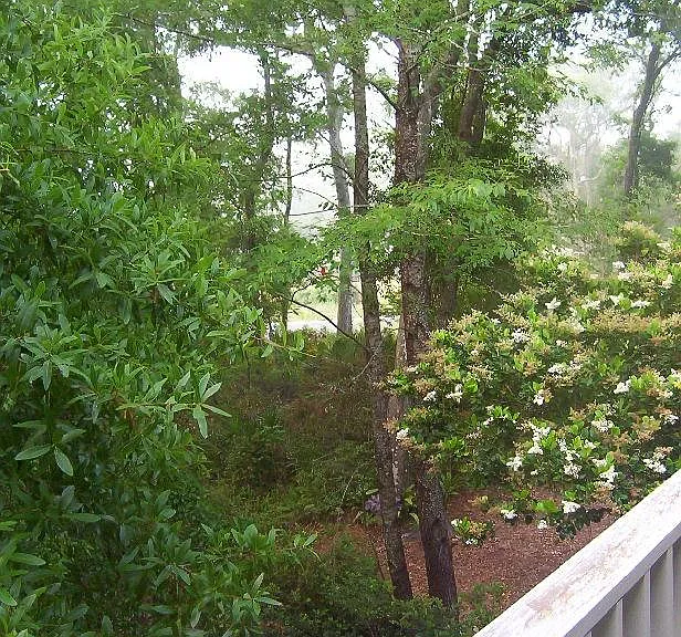 800 Mallery St #2 — Photo 4