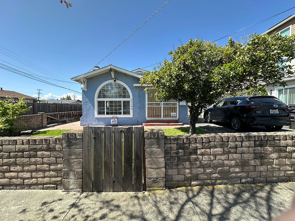 Front yard with established orange tree