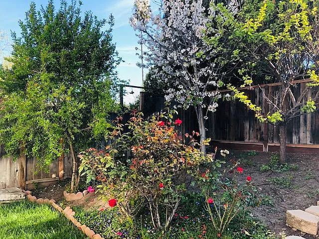 45776 Cheyenne Pl — Photo 22