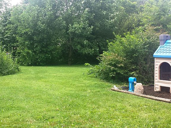 Back yard, mature trees