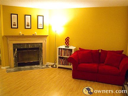 Wood fire place