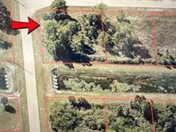 1253 Deauville ST E, LEHIGH ACRES, FL 33974