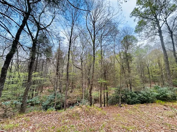 174 Round Hill Rd, Fancy Gap, VA 24328