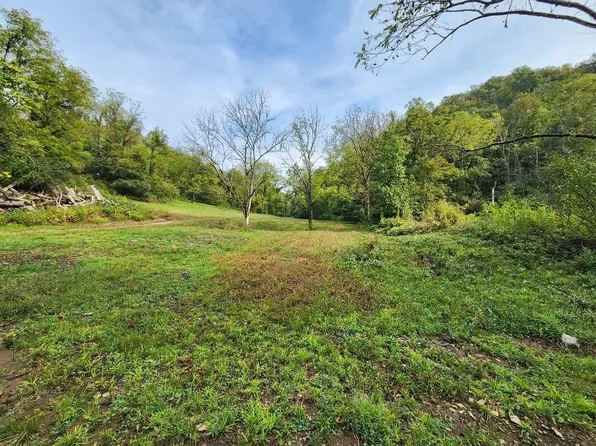 0 Webster Branch Ln Lot 8, Whitleyville, TN 38588