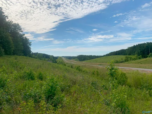 1.74 Highway 81, Phil Campbell, AL 35581